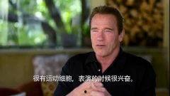 阿诺视频爆料最新,揭秘娱乐圈最新内幕,独家猛料来袭! 第1张 阿诺视频爆料最新,揭秘娱乐圈最新内幕,独家猛料来袭! 第1张